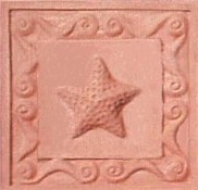 handmade terra cotta ceramic tile with a shell design and a clear gloss or matte glaze